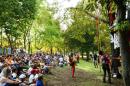 Le Grp de liberation des arbres 4 * 4272 x 2848 * (6.85MB)